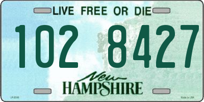 NH license plate 1028427