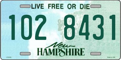 NH license plate 1028431