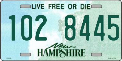 NH license plate 1028445
