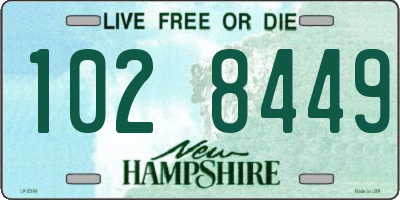 NH license plate 1028449