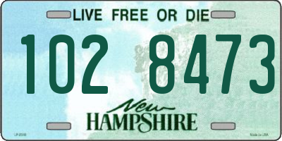 NH license plate 1028473