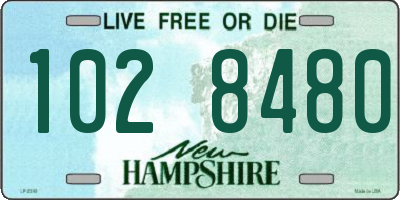NH license plate 1028480