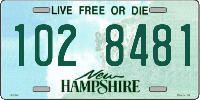 NH license plate 1028481