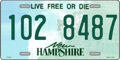 NH license plate 1028487