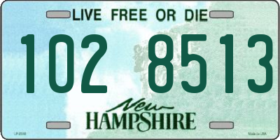 NH license plate 1028513