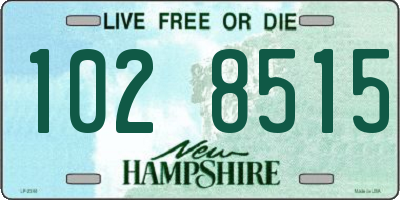NH license plate 1028515