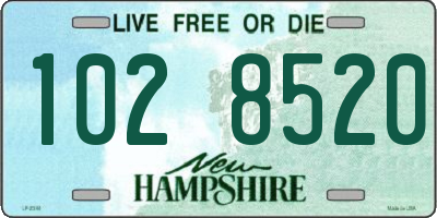 NH license plate 1028520