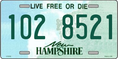 NH license plate 1028521