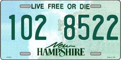 NH license plate 1028522