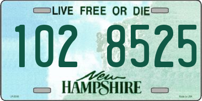 NH license plate 1028525