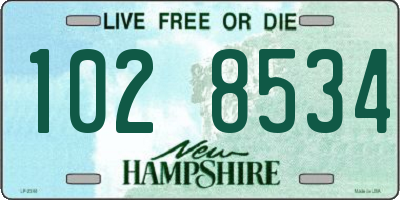 NH license plate 1028534