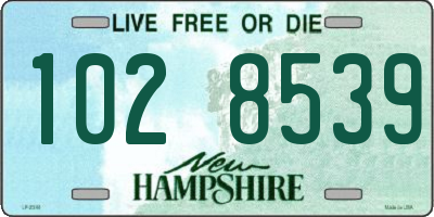 NH license plate 1028539