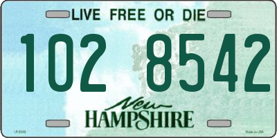 NH license plate 1028542