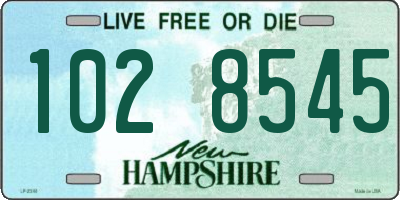 NH license plate 1028545
