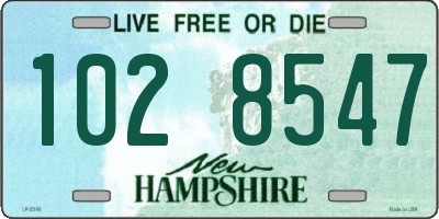 NH license plate 1028547