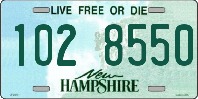 NH license plate 1028550