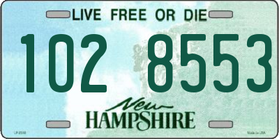 NH license plate 1028553