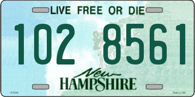 NH license plate 1028561