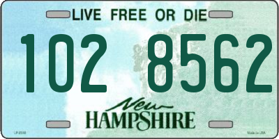 NH license plate 1028562