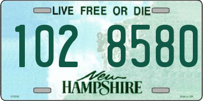 NH license plate 1028580