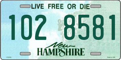 NH license plate 1028581