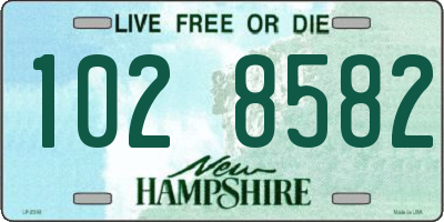 NH license plate 1028582