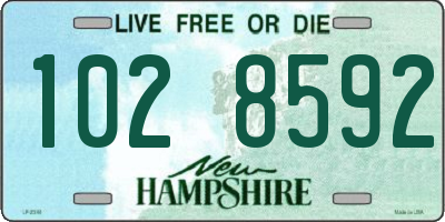 NH license plate 1028592