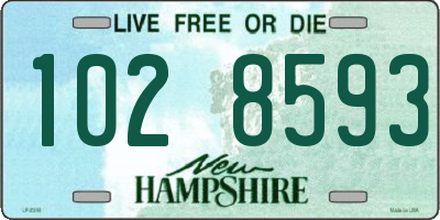 NH license plate 1028593