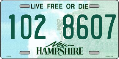 NH license plate 1028607