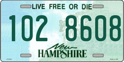 NH license plate 1028608