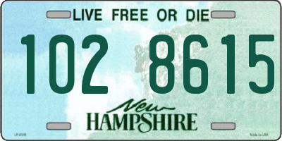 NH license plate 1028615