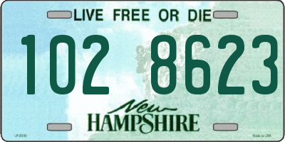 NH license plate 1028623
