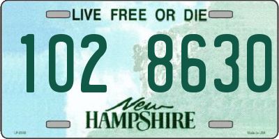 NH license plate 1028630