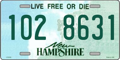 NH license plate 1028631
