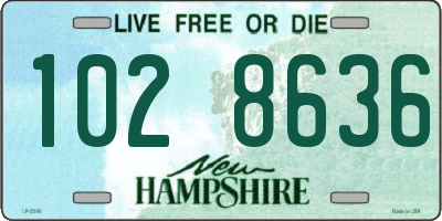 NH license plate 1028636