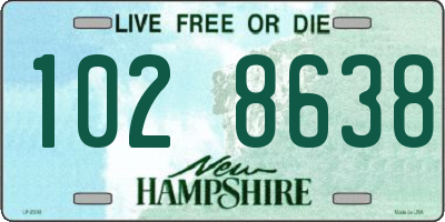 NH license plate 1028638