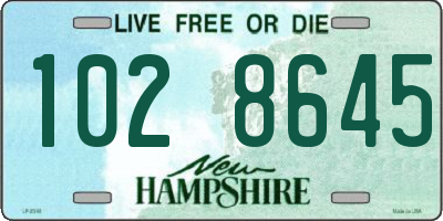 NH license plate 1028645