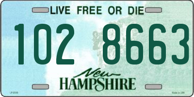 NH license plate 1028663