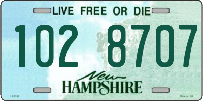 NH license plate 1028707