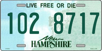 NH license plate 1028717