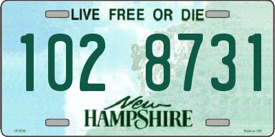 NH license plate 1028731