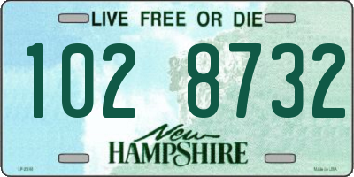 NH license plate 1028732