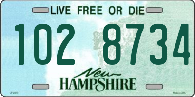 NH license plate 1028734