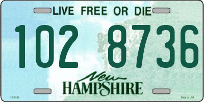 NH license plate 1028736