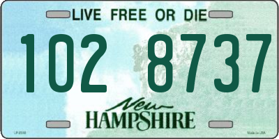 NH license plate 1028737