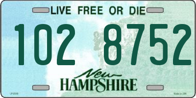 NH license plate 1028752