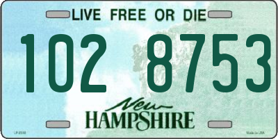 NH license plate 1028753