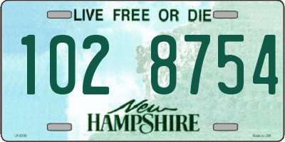 NH license plate 1028754
