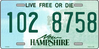 NH license plate 1028758