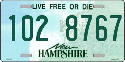 NH license plate 1028767
